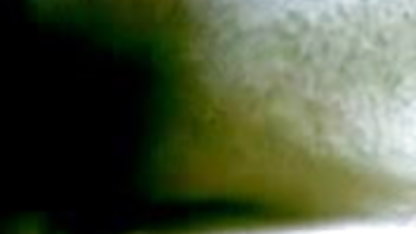 வகையான கட்டணம் சாட்டிவா, ரோஜா அமெரிக்க நாட்டுக்காரன்