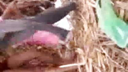 ஜப்பானிய எம்மா வாட்சன் அமெரிக்க நாட்டுக்காரன் புண்டை நாய் பாணியில் புணர்ந்தது