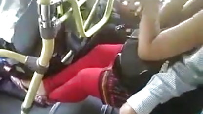 கவர்ச்சியான நரி அமெரிக்க நாட்டுக்காரன் உணவு