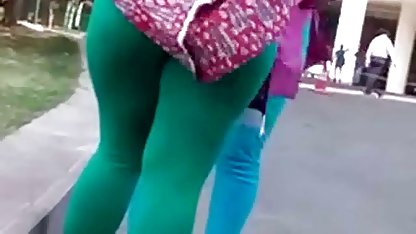 bacchanalia வெள்ளெலி அமெரிக்க நாட்டுக்காரன்